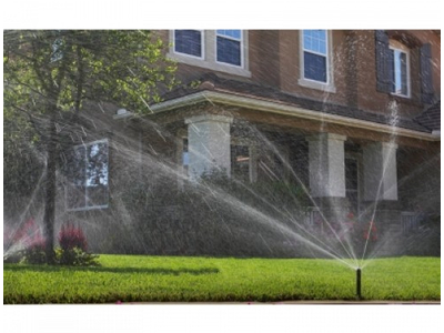 Vòi phun Rotary MP2000 - Blue