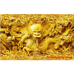 Gạch 3D mẫu MR07