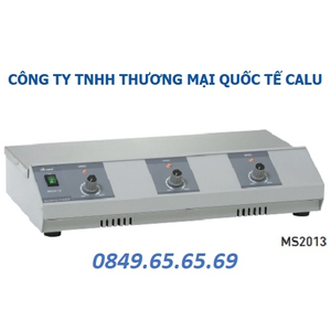 Máy khuấy từ không gia nhiệt MS2013