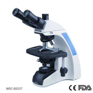 Kính hiển vi sinh học - MSC-B203T