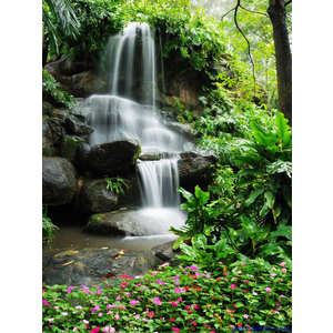 Mẫu gạch MTN117