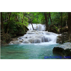 Mẫu gạch MTN118
