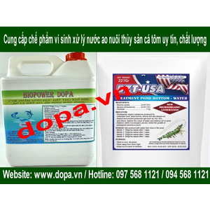Mua Chế Phẩm Sinh Học Vi Sinh Xử Lý Nước Làm Sạch Đáy Ao Nuôi Cá Tôm Ở Đâu Tốt Hiệu Quả Nhất?