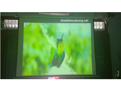 Máy Chiếu Cũ SONY VPL-EX246