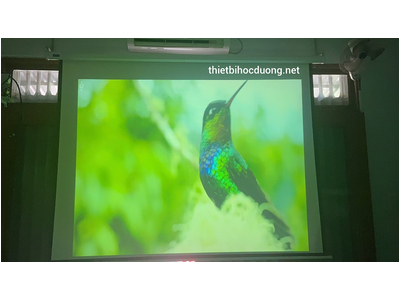 Máy Chiếu Cũ SONY VPL-EX246