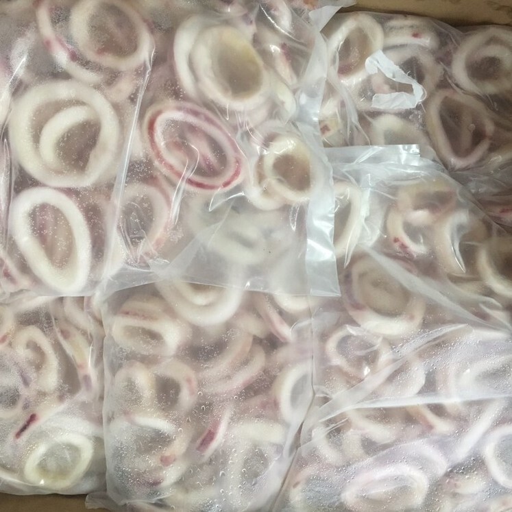 MỰC VÒNG ĐÔNG LẠNH 1KG
