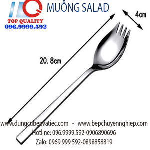 Muỗng Salad