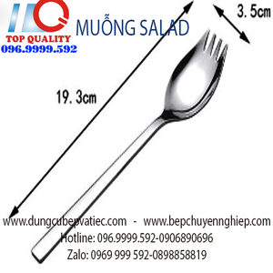 Muỗng Salad