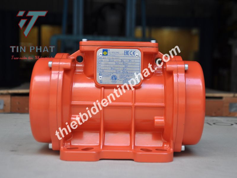 ĐỘNG CƠ RUNG OLI MVE300/3E-30A0 0.25kW