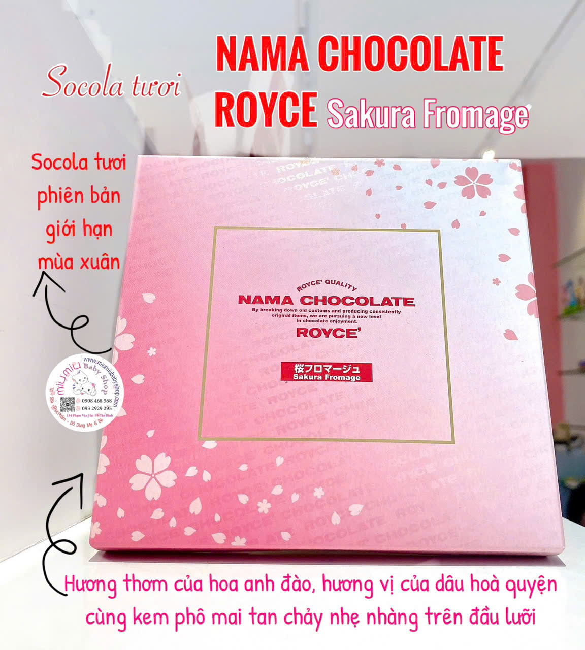 Nama chocola sakura