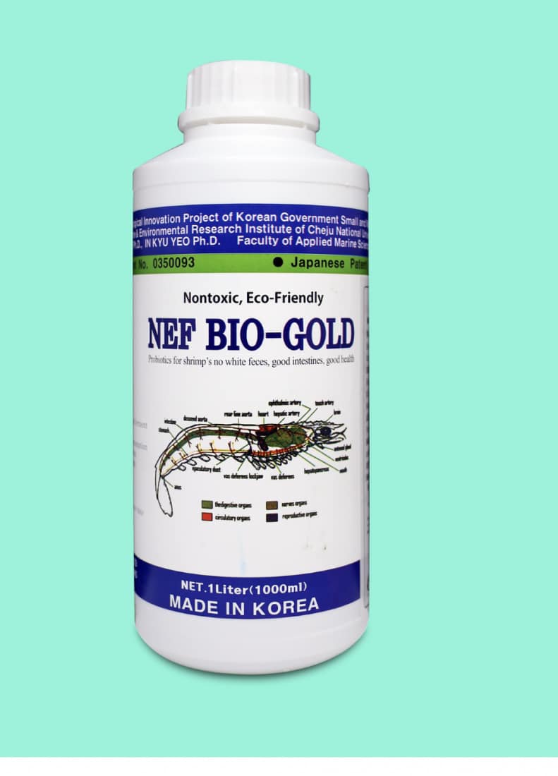 NEF BIO - GOLD