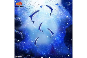 Nên hay không việc lắp đặt trần xuyên sáng huyện Củ Chi cho phòng ngủ?