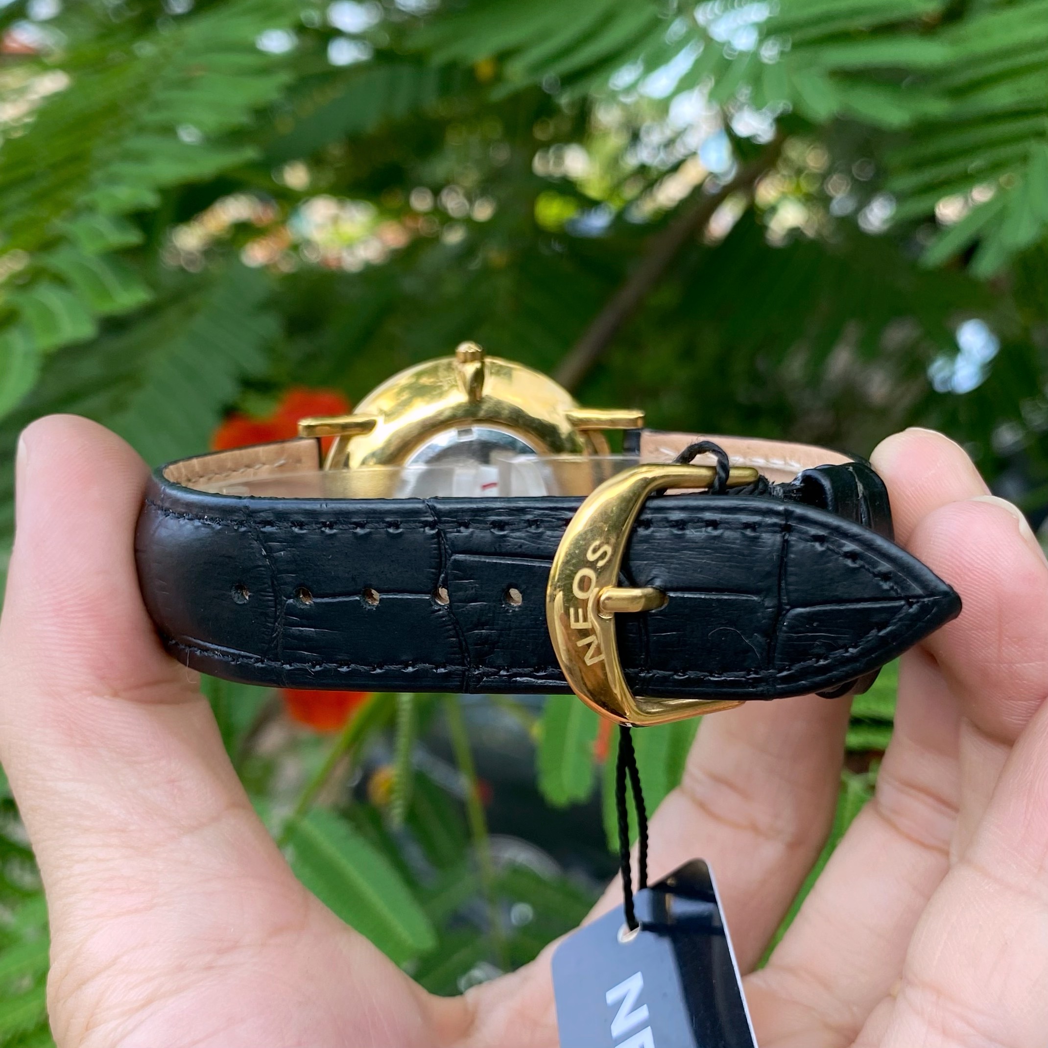 ĐỒNG HỒ NAM MÁY THỤY SĨ NEOS N-30851M