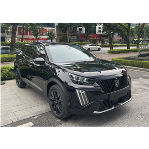 New Peugeot 2008 Premium - ĐEN