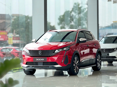 New Peugeot 3008