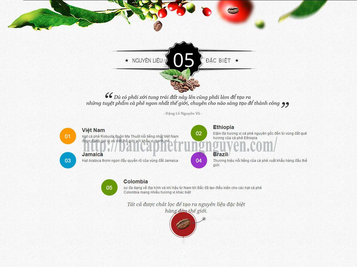 Nguyên liệu sản xuất cà phê Trung Nguyên