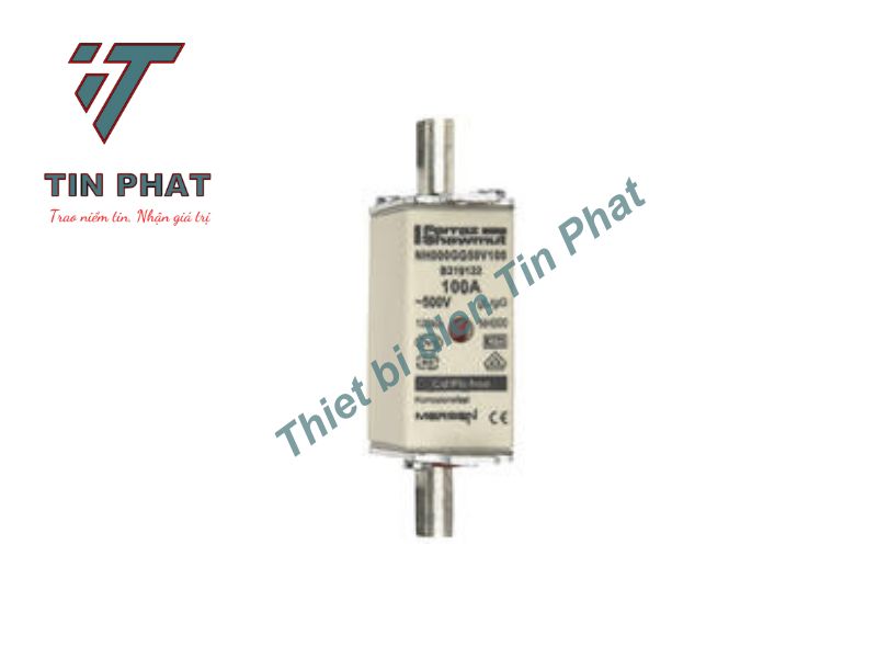 CẦU CHÌ MERSEN NH000GG50V100 500V 100A