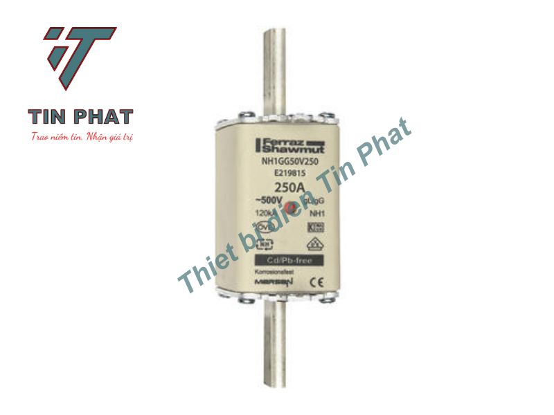 CẦU CHÌ MERSEN NH1GG50V250 500V 250A