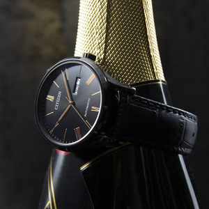 ĐỒNG HỒ CITIZEN NAM NH8365-19F