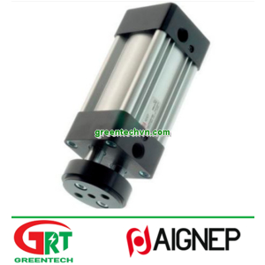 VLI | Aignep | Xilanh đẩy kép điều chỉnh được hành trình | Aignep Vietnam