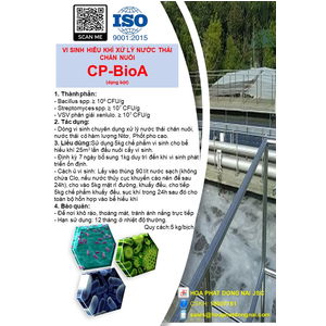 VI SINH HIẾU KHÍ XỬ LÝ NƯỚC THẢI CHĂN NUÔI CP-BioA (dạng bột)