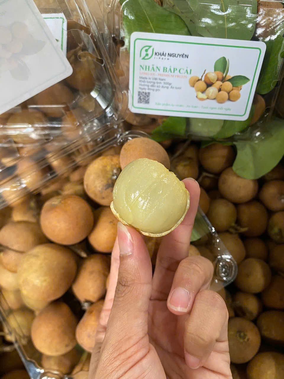 Nhãn bắp cải (Thanh nhãn) vũng tàu chuyển đổi hữu cơ