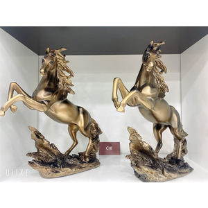 Nhất mã phi thiên