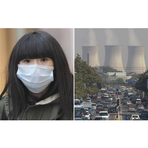 Nhiệt điện than giá rẻ, thật sao?