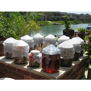 Những lí do để bạn yên tâm lựa chọn nước mắm truyền thống