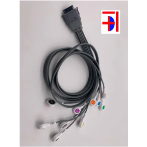 Nihon Kohden(26-Pin) Holter ECG