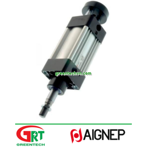 NLA | Aignep | Xilanh đẩy kép điều chỉnh được hành trình | Aignep Vietnam