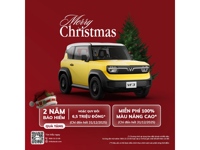 NOEL ẤM ÁP HƠN KHI CÓ VINFAST CHỞ YÊU THƯƠNG VỀ NHÀ- VinFast Thái Bình