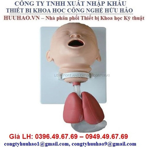 Mô hình đặt nội khí quản trẻ em