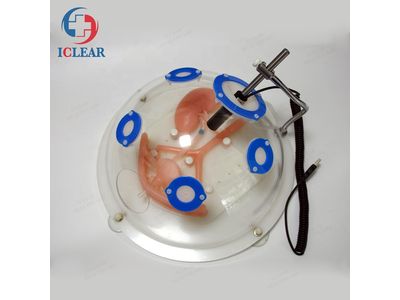 Mô hình thực hành nội soi niệu