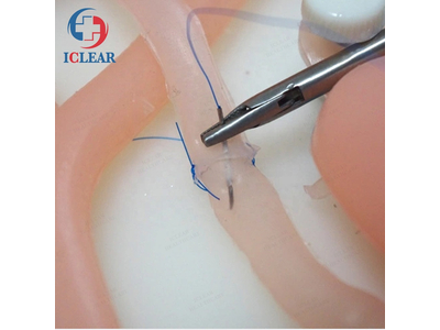 Mô hình thực hành nội soi niệu