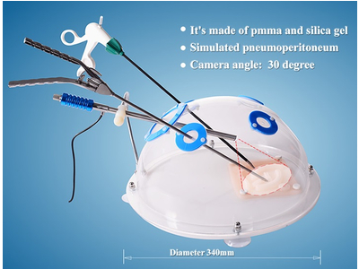 Mô hình thực hành nội soi niệu