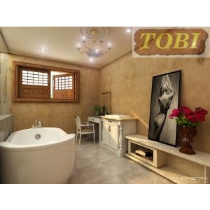 Nội thất nhà tắm NTNT201