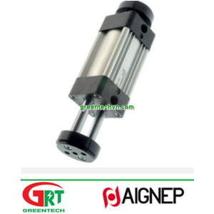 NQA | Aignep | Xilanh đẩy kép điều chỉnh được hành trình | Aignep Vietnam