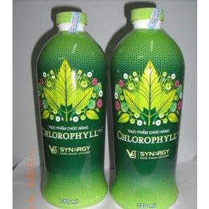 Nước diệp lục Liquid Chlorophyll, Nước diệp lục Synergy USA của cải thiện phản ứng miễn dịch