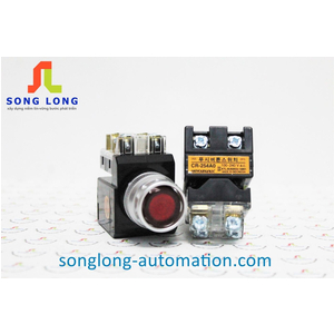 NÚT NHẤN CÓ ĐÈN HANYOUNG CR-254-A0