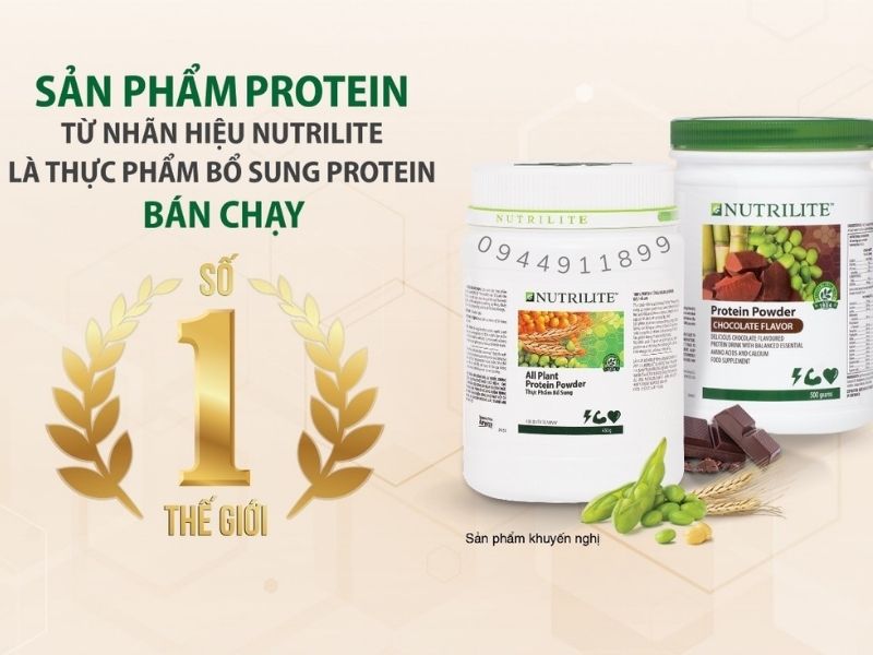 Protein dưỡng chất quan trọng cho cơ thể