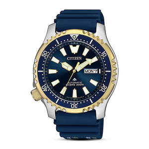 ĐỒNG HỒ CITIZEN NAM NY0096-12L