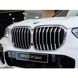 BMW X5 xDrive40i M Sport
