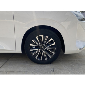 Wuling Darion Eco