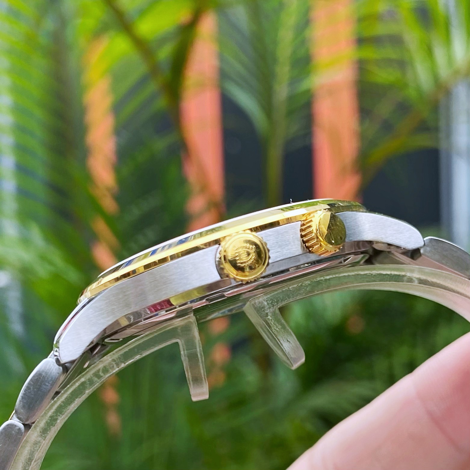 ĐỒNG HỒ OLYMPIA STAR GMT OPA98027G CHÍNH HÃNG