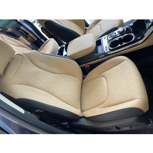 KIA Carnival 2.2D Premium 7 chỗ