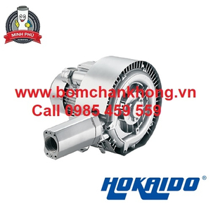 MÁY THỔI KHÍ ĐÔI 2HB 420 A31