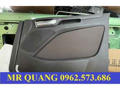 Ốp tap li (tap ly) cánh cửa xe đầu kéo Hyundai Xcient