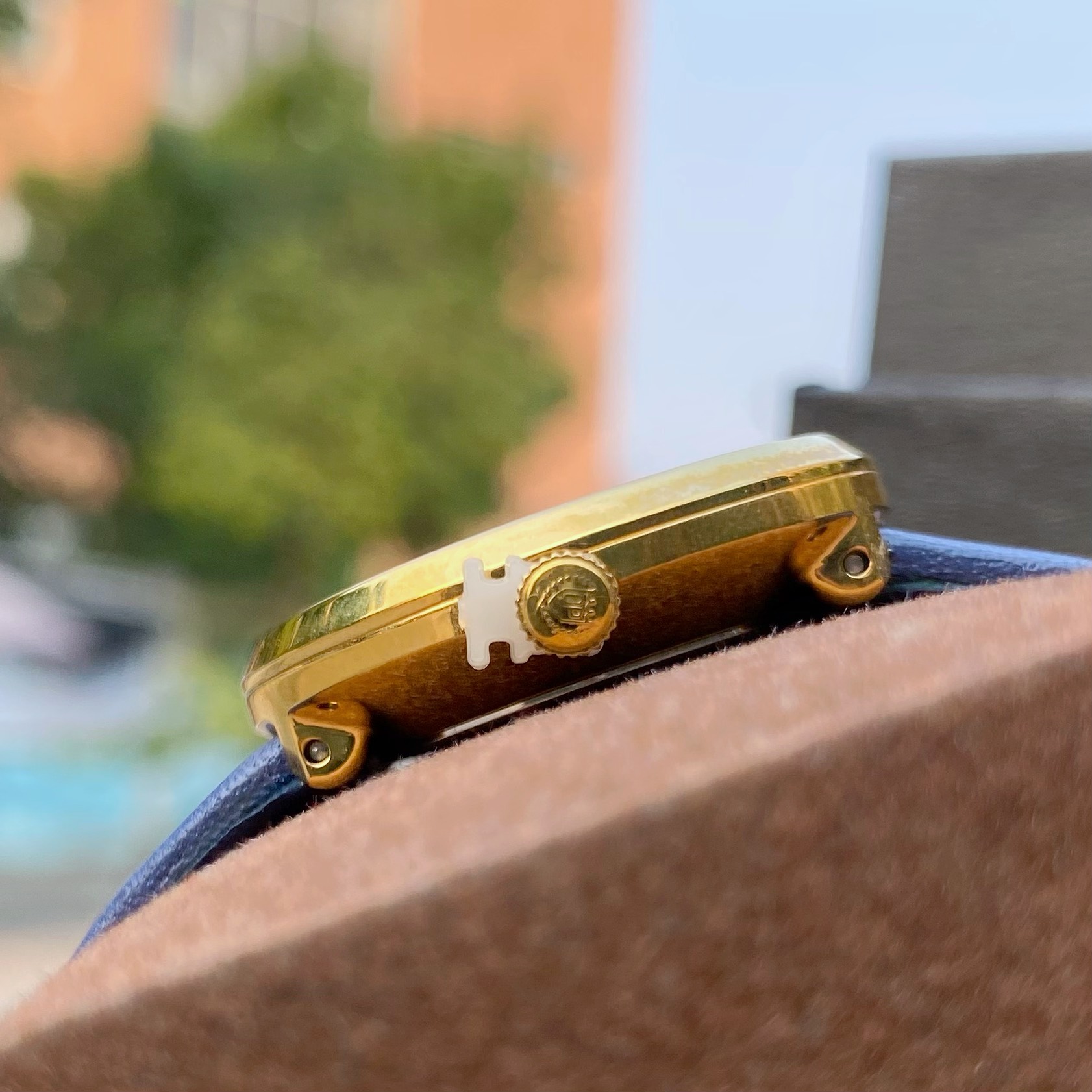 Đồng Hồ Olympia Star Nữ OPA58083L