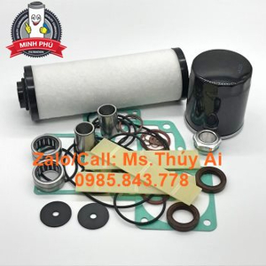 Overhaul repair kit - 0040E - PN: (0993 101 466 + 0992 101 463)